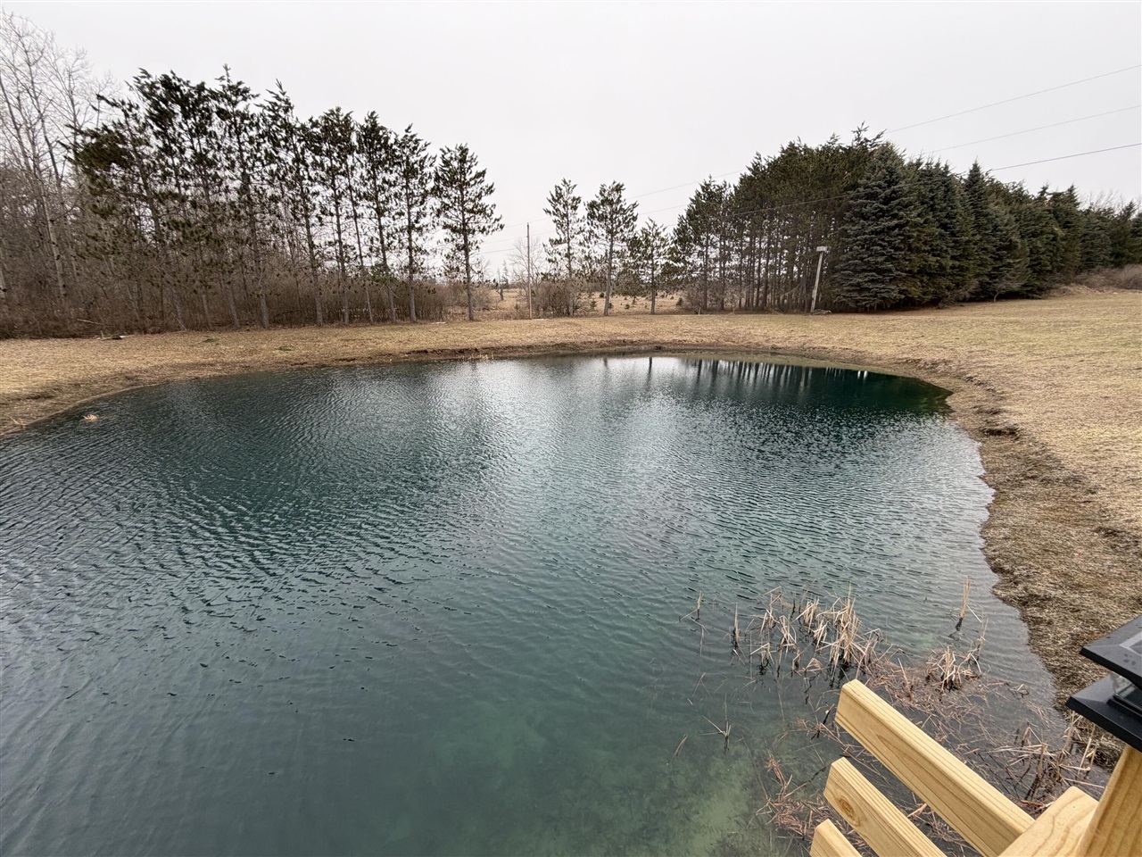 7202 21 Mile Road Evart, MI 49631 - Photo 49 of 69