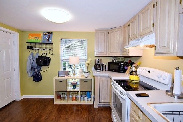 313 East State Street Geneva, IL 60134 - Photo 13 of 31 a kitchen with a refrigerator a stove top oven a sink and cabinets