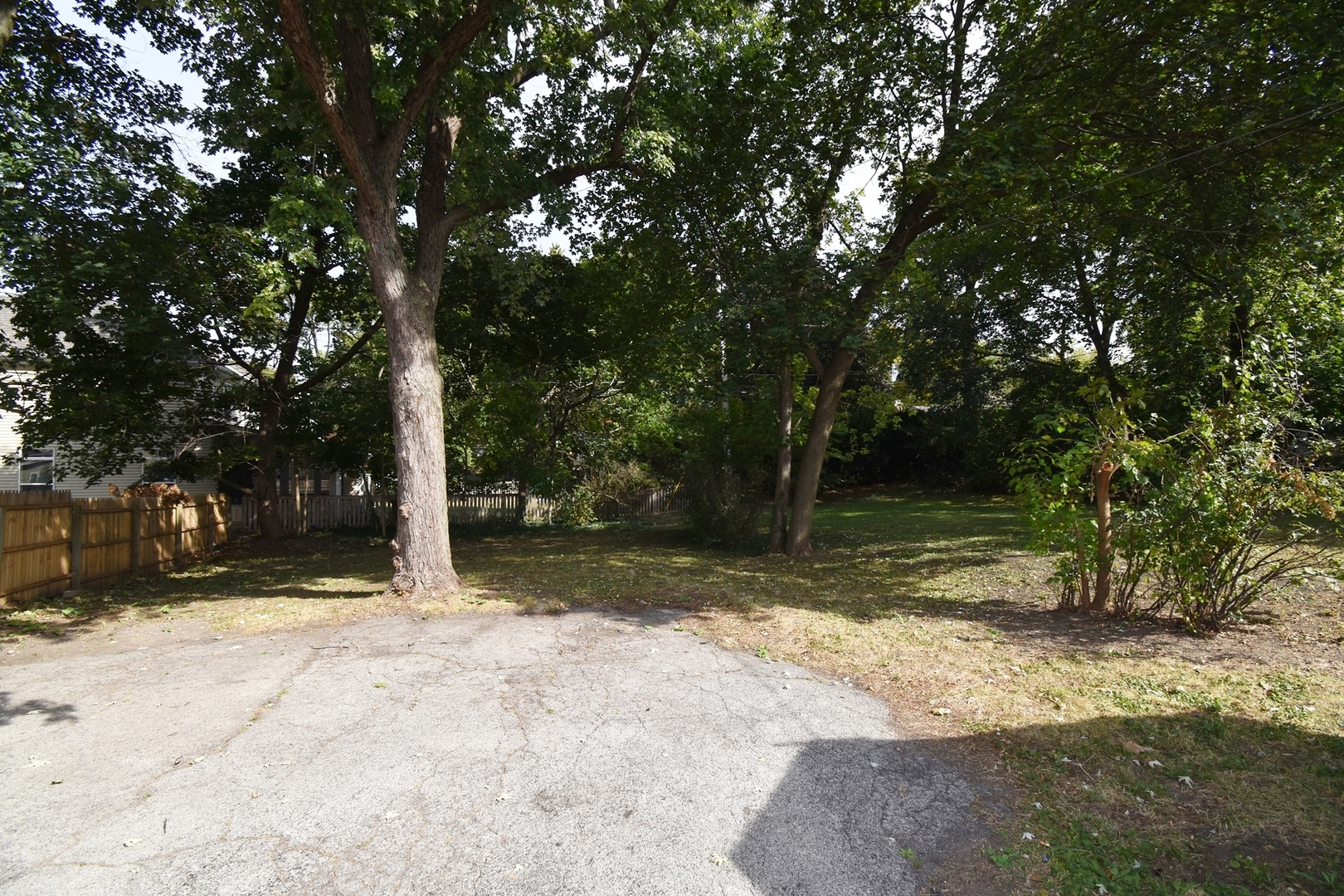 313 East State Street Geneva, IL 60134 - Photo 24 of 31 a view of a tree in the middle of a yard