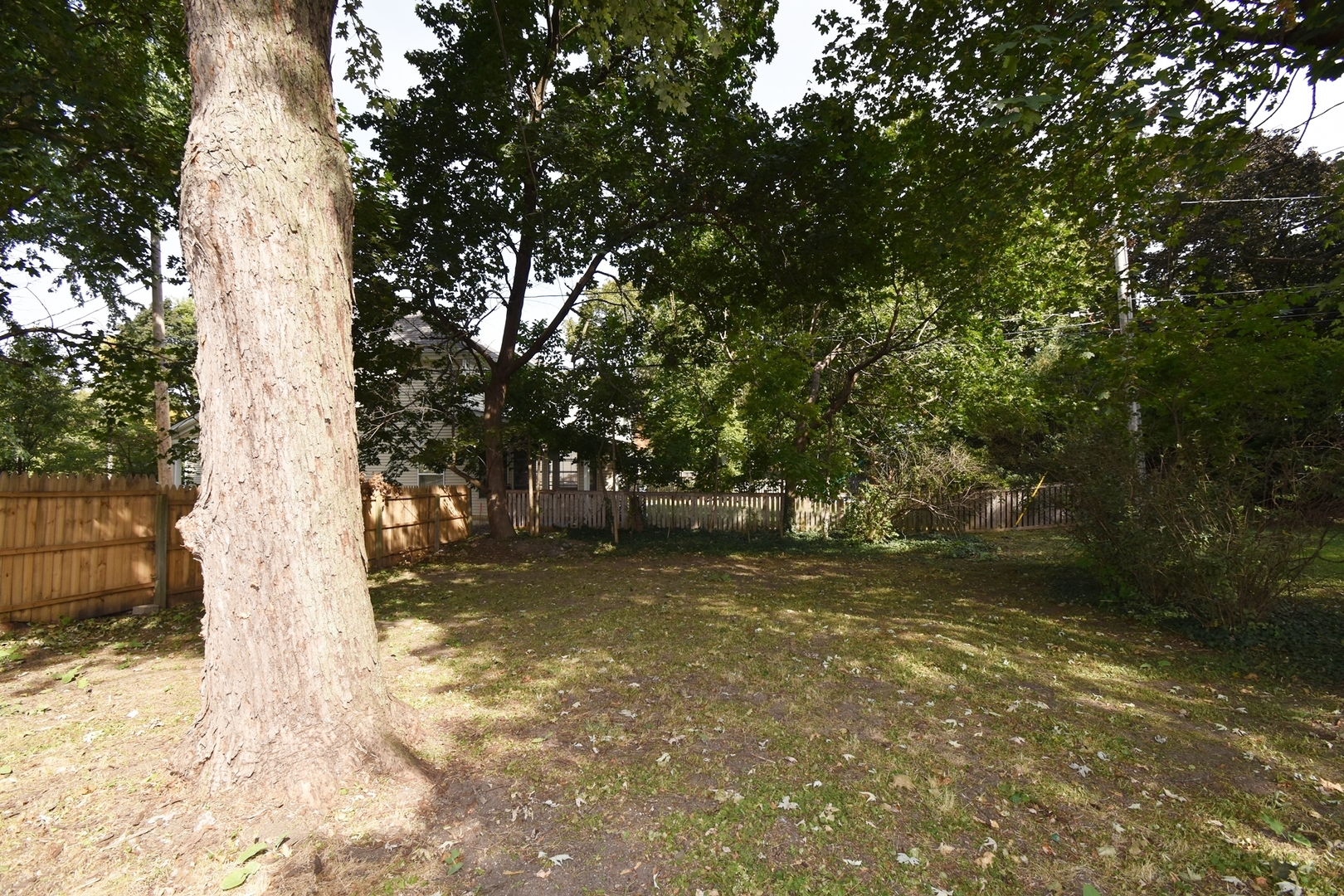 313 East State Street Geneva, IL 60134 - Photo 25 of 31 a view of backyard space and trees