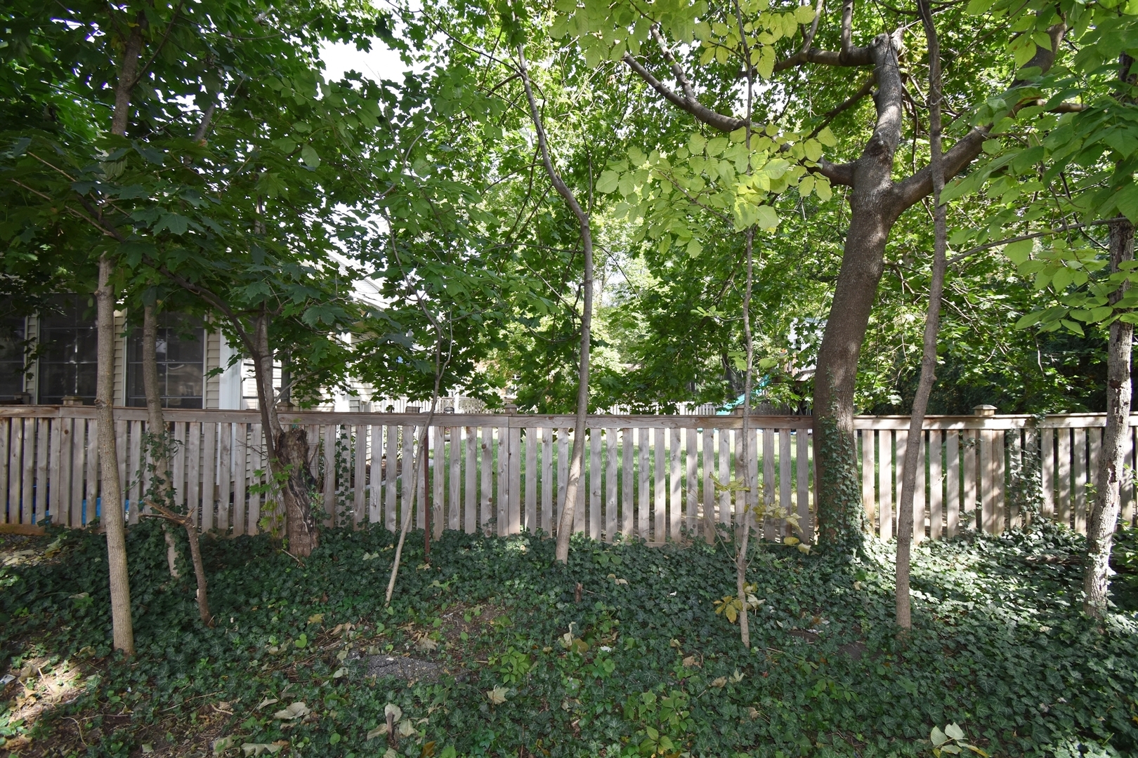 313 East State Street Geneva, IL 60134 - Photo 29 of 31