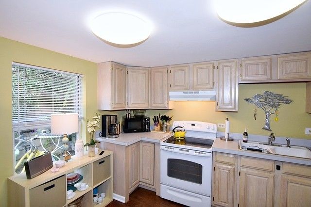 313 East State Street Geneva, IL 60134 - Photo 8 of 31 a kitchen with a stove a sink and a refrigerator
