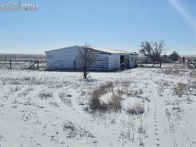 a street view with large trees