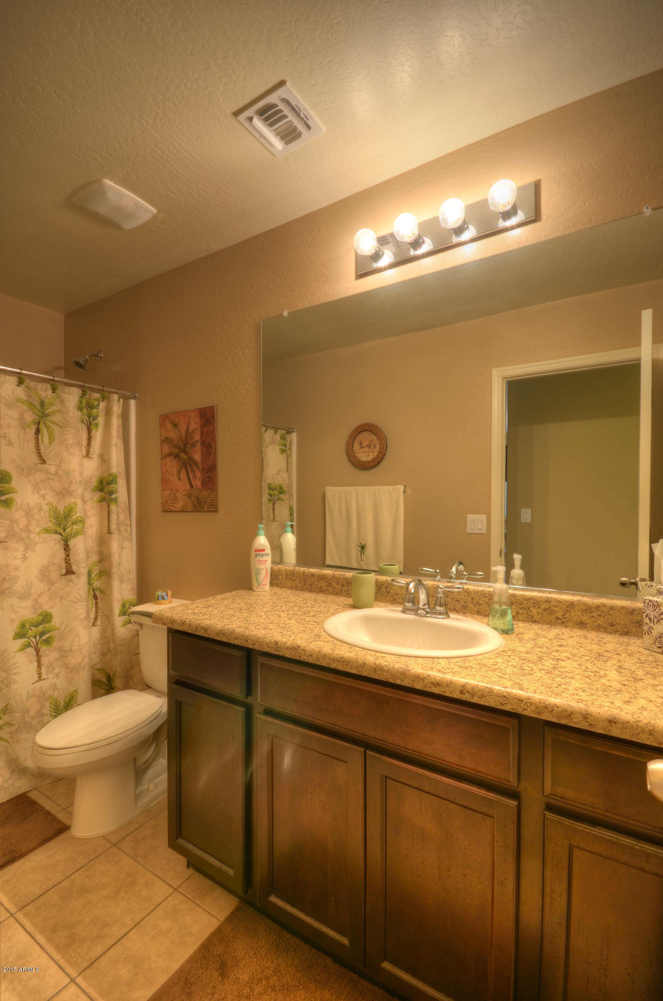 8715 West Payson Road Tolleson, AZ 85353 - Photo 20 of 30 2nd Bathroom (2)