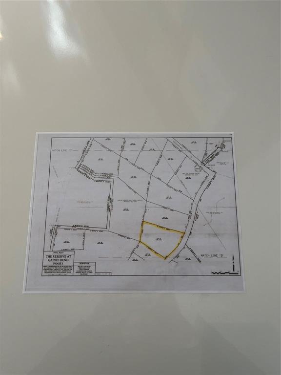 Tbd Lot #45 Tbd Ridge Graford, TX 76449 - Photo 30 of 30