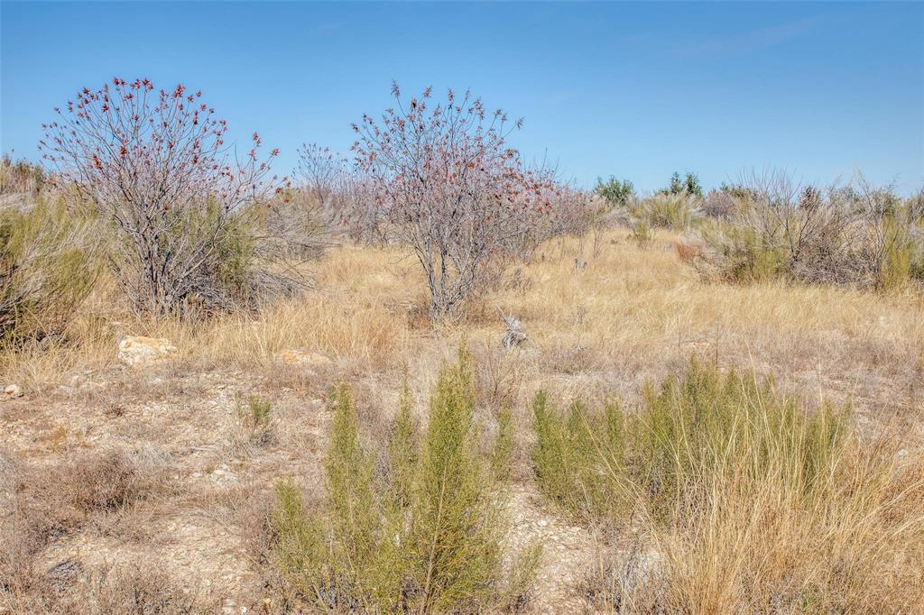Tbd Lot #45 Tbd Ridge Graford, TX 76449 - Photo 8 of 30 a view of a dry yard with trees in the background