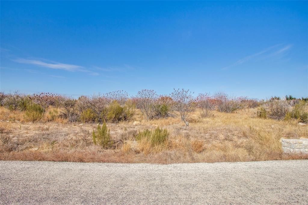 Tbd Lot #45 Tbd Ridge Graford, TX 76449 - Photo 9 of 30 a view of a yard with mountain