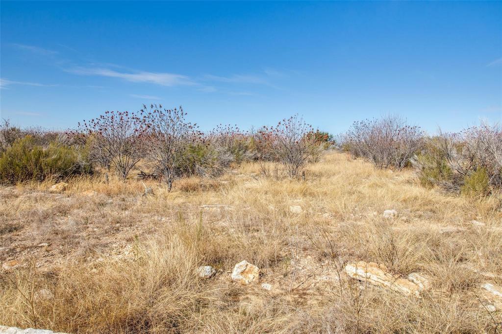 Tbd Lot #45 Tbd Ridge Graford, TX 76449 - Photo 10 of 30 a view of a field with trees in the background
