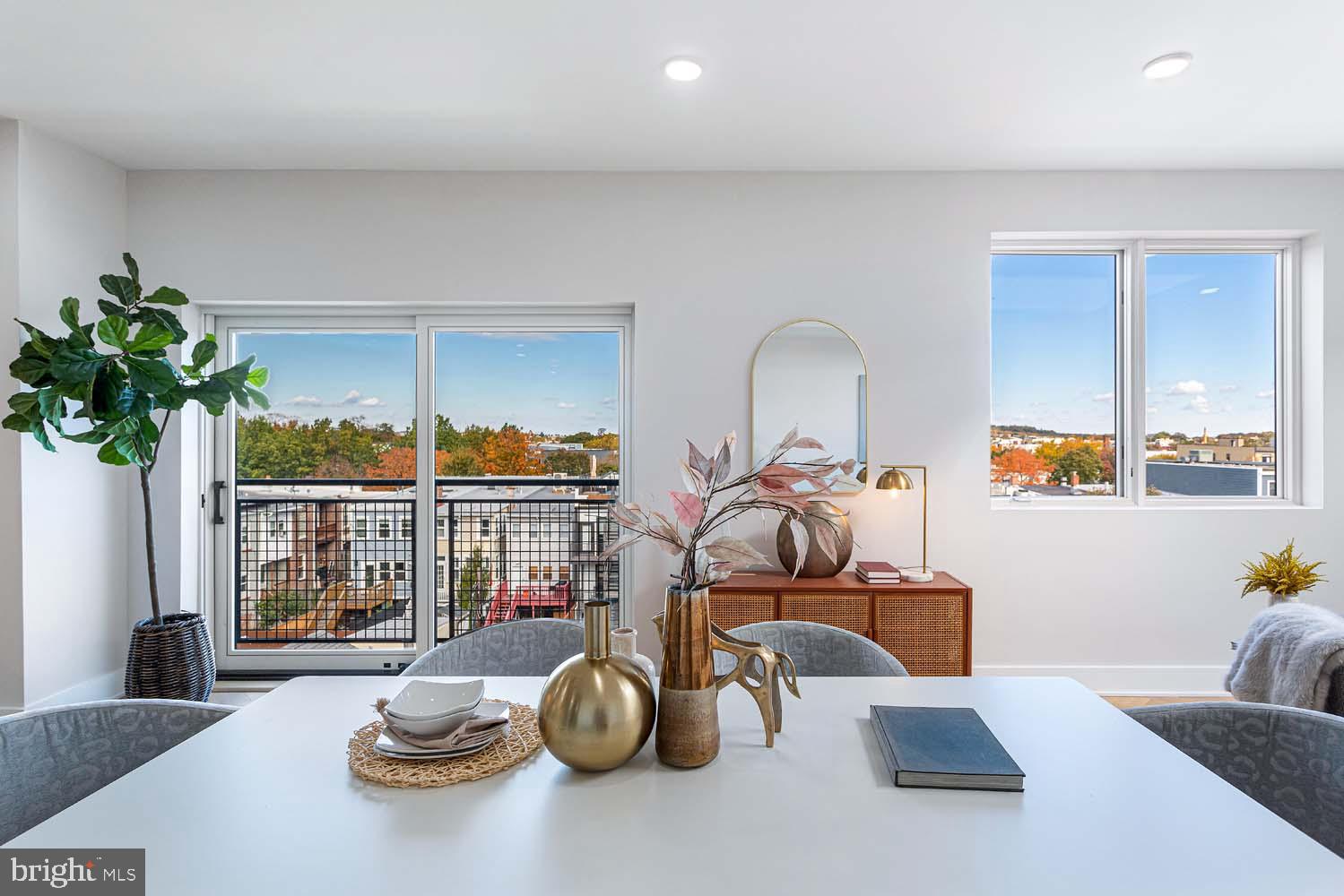 1516 East Capitol Street Northeast, Unit F Washington, DC 20003 - Photo 8 of 53 a living room with furniture and a potted plant