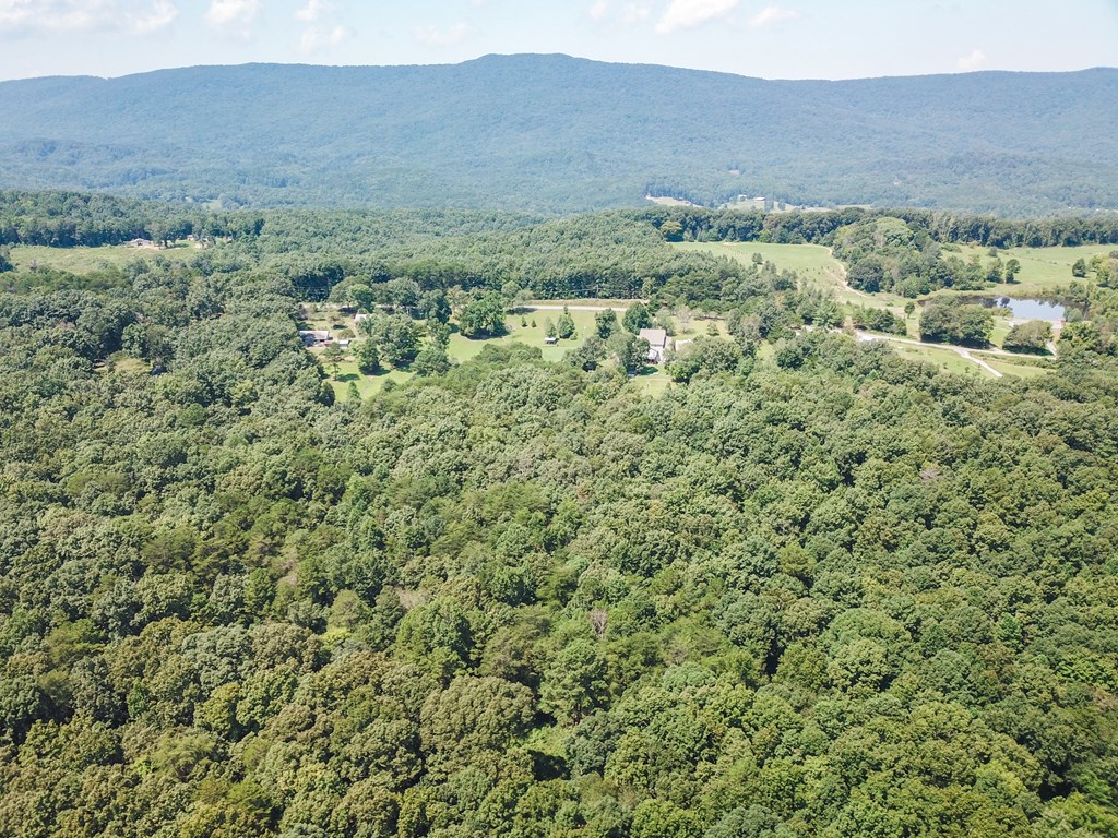 5841 North Marble Top Road Chickamauga, GA 30707 - Photo 50 of 58 Gallery Image 50