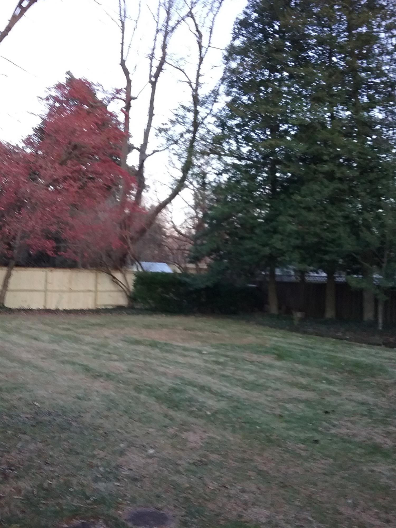 232 Barrow Road Lexington, KY 40502 - Photo 10 of 44 Photo 10