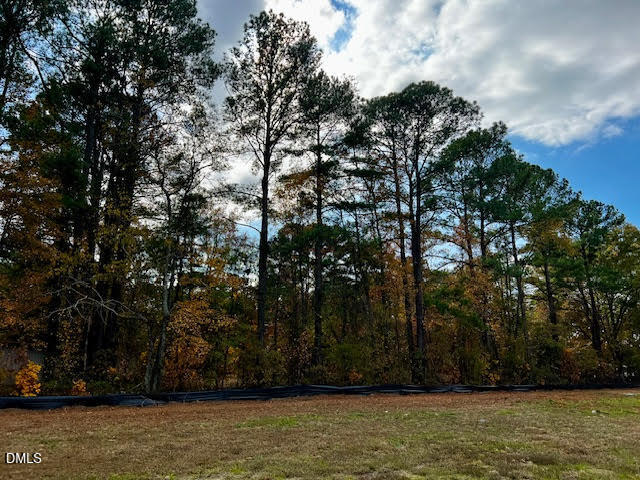 18 Alex Acres Way Selma, NC 27576 - Photo 5 of 5 a view of three trees