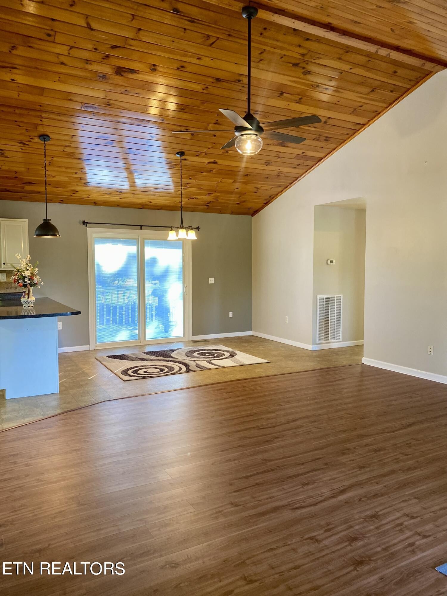 185 Jenkins Road Tellico Plains, TN 37385 - Photo 19 of 46 Gallery Image 19
