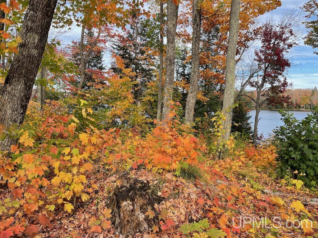 47-13 Carpenter Lake Road Seney, MI 49883 - Photo 5 of 18