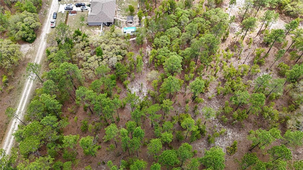 Tbd Southwest 137th Ct Road Dunnellon, FL 34432 - Photo 9 of 19