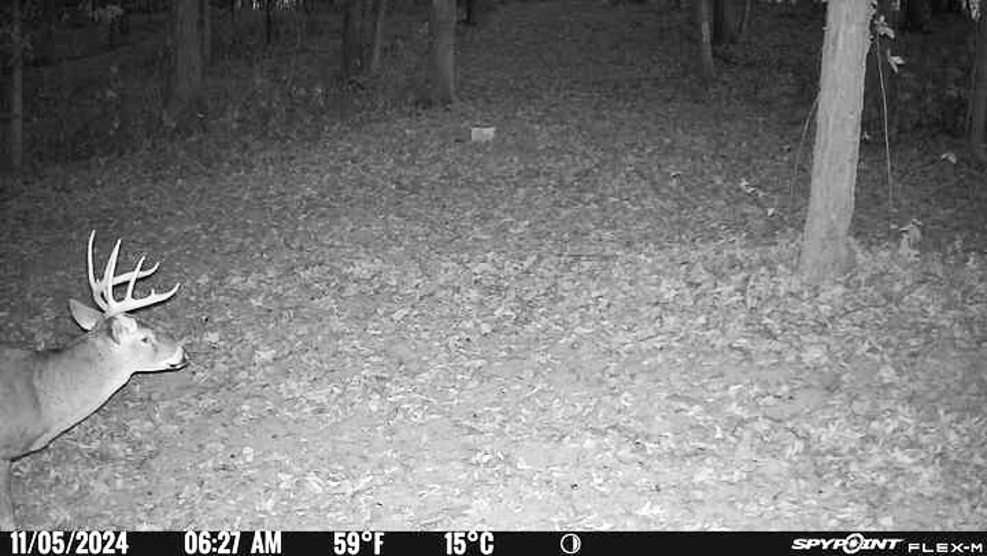 0 Chase Road Albany, OH 45710 - Photo 36 of 37 Chase Rd-35