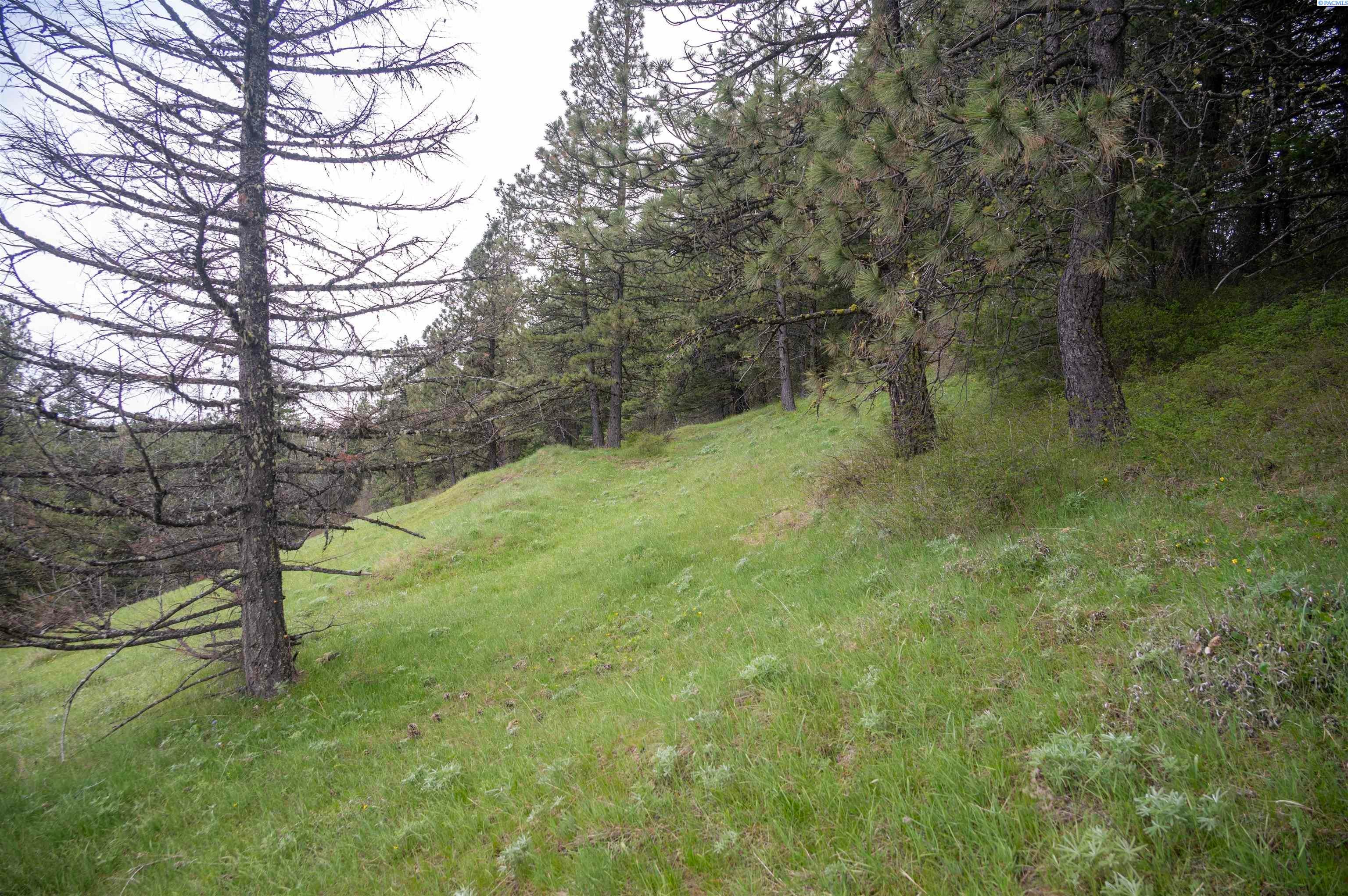 Unk20 Blacksnake Ridge Road Walla Walla, WA 99362 - Photo 29 of 41 Gallery Image 29