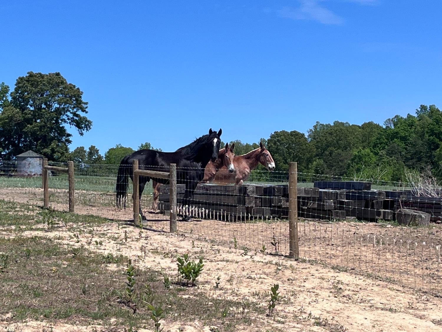 2990 Whites Chapel Road Phenix, VA 23959 - Photo 13 of 99