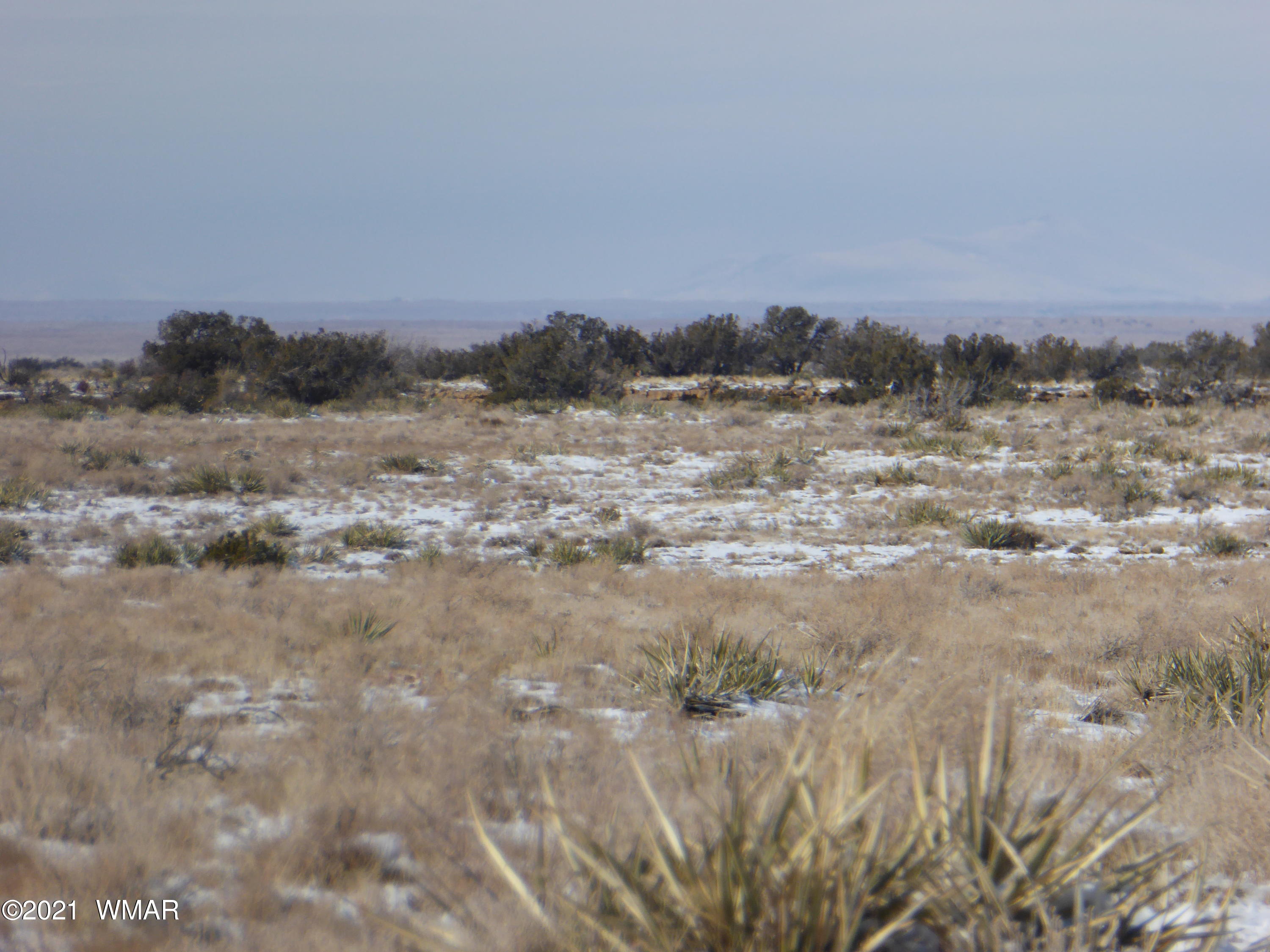 Lot 653 Chevelon Canyon Ranch, Unit 4 Heber, AZ 85928 - Photo 2 of 6