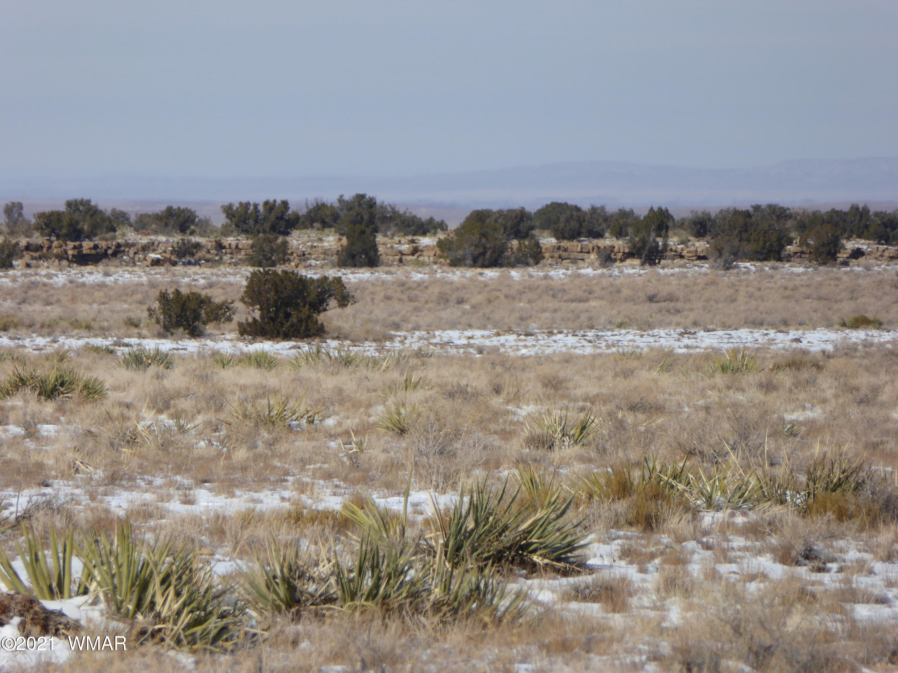 Lot 653 Chevelon Canyon Ranch, Unit 4 Heber, AZ 85928 - Photo 5 of 6