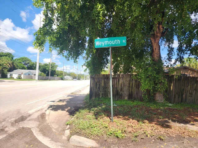 a view of a street with a tree