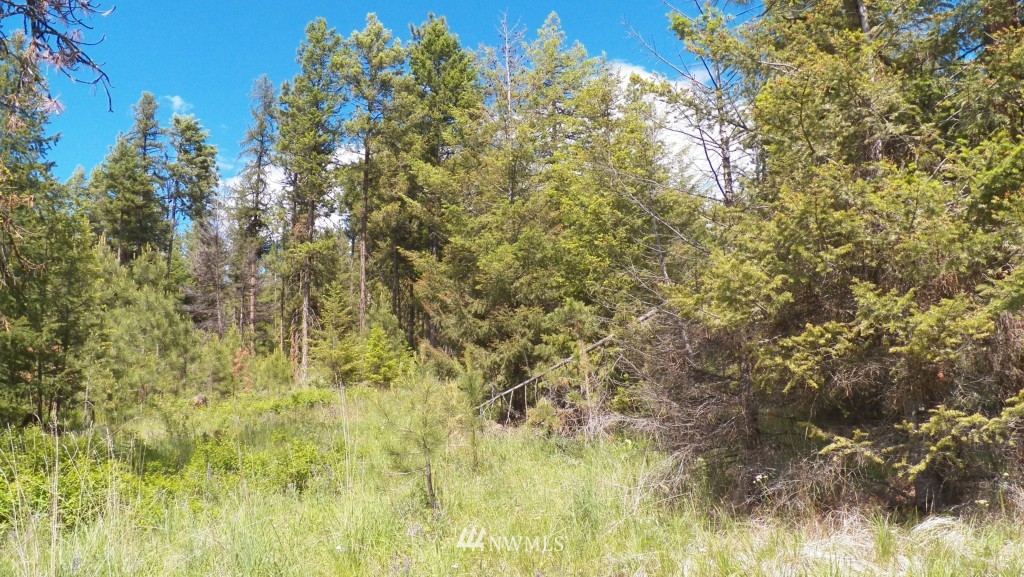 -tbd Fs 3525 Road Tonasket, WA 98855 - Photo 8 of 8 Gallery Image 8
