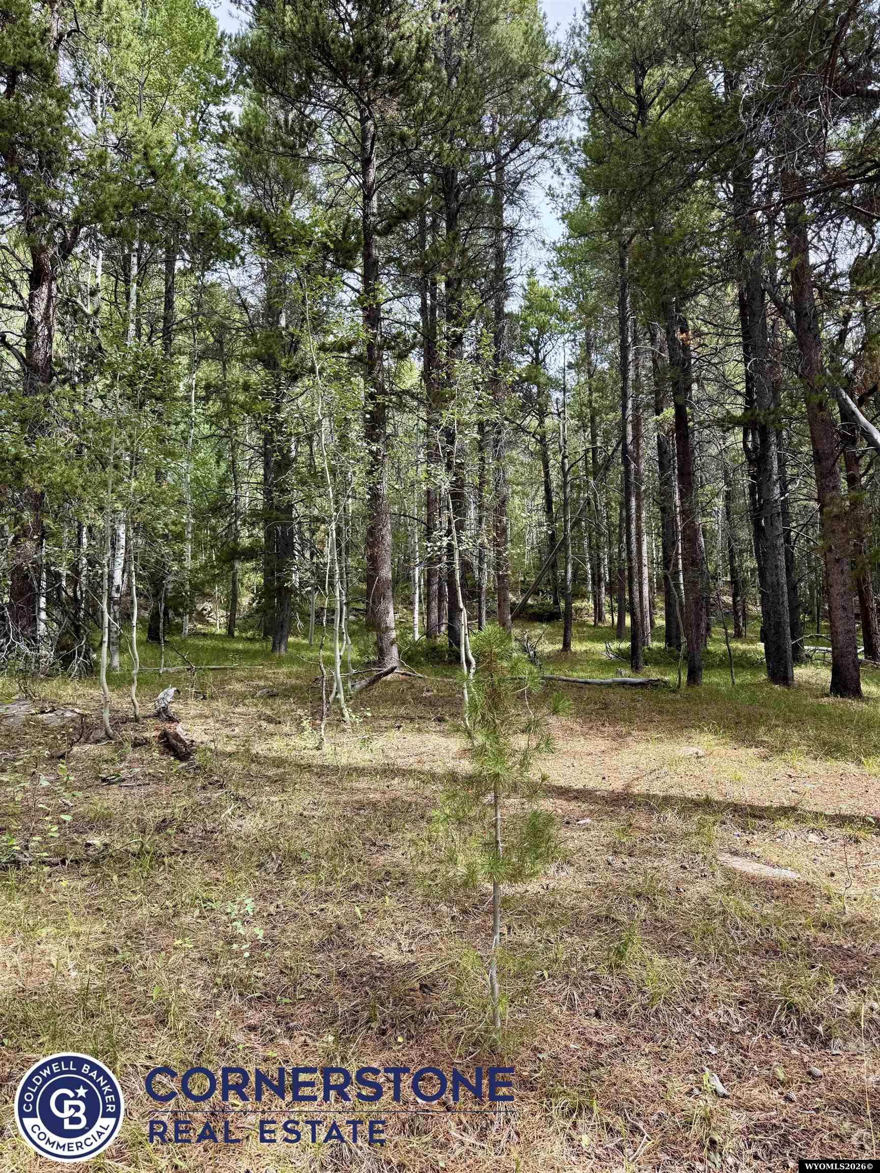 Lot 620 Starwallow Road, Unit 6 Casper, WY 82601 - Photo 14 of 16 Gallery Image 14