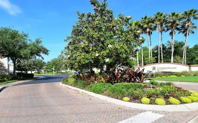a view of a park with plants and trees