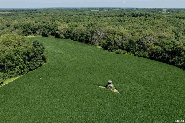 $649,000 | 17 3s 5w, Liberty, IL 62347