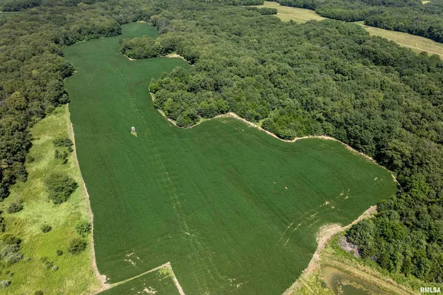 $649,000 | 17 3s 5w, Liberty, IL 62347