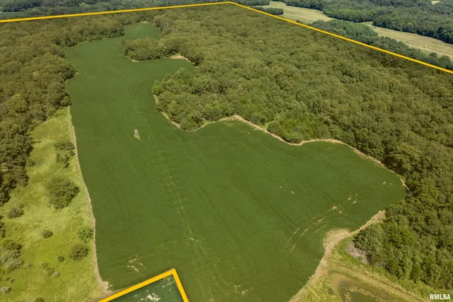 $649,000 | 17 3s 5w, Liberty, IL 62347