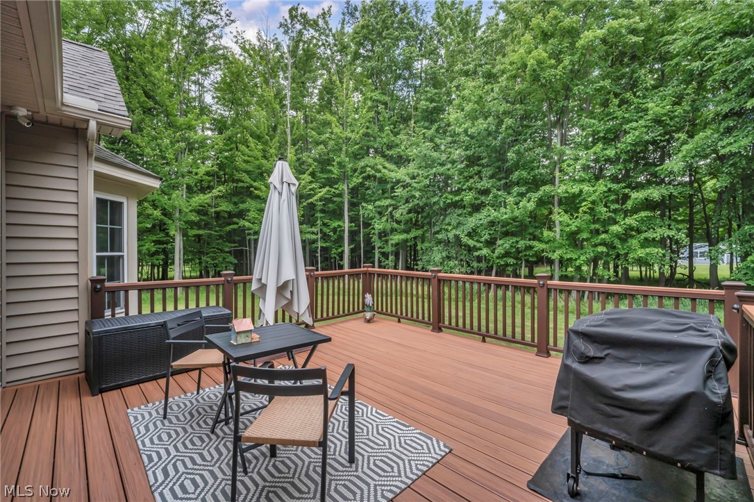 29345 White Road Wickliffe, OH 44092 - Photo 38 of 45 Deck off the dining area