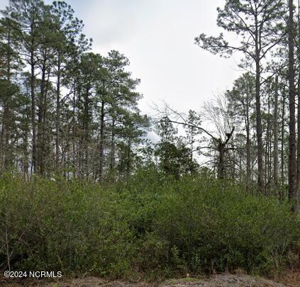 L-449 Queens Road Southport, NC 28461 - Photo 2 of 2 Queens Road Pic