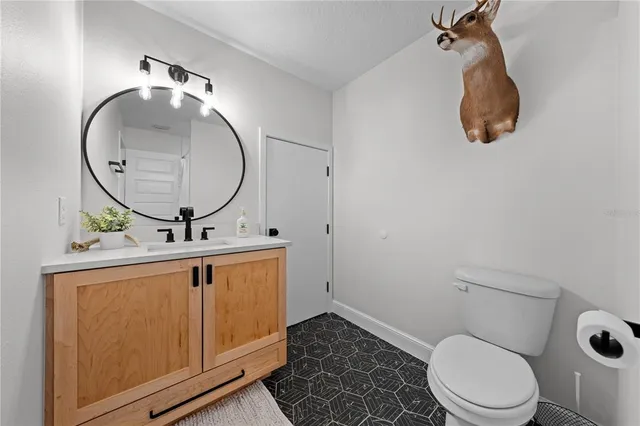 a bathroom with a toilet a sink and mirror