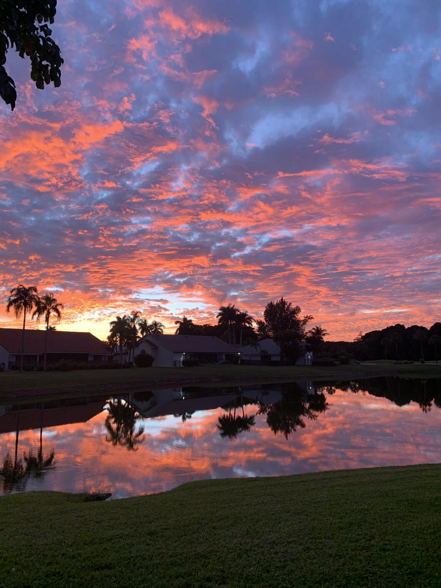 10184 Sunset Bend Drive Boca Raton, FL 33428 - Photo 1 of 1 IMG_8759