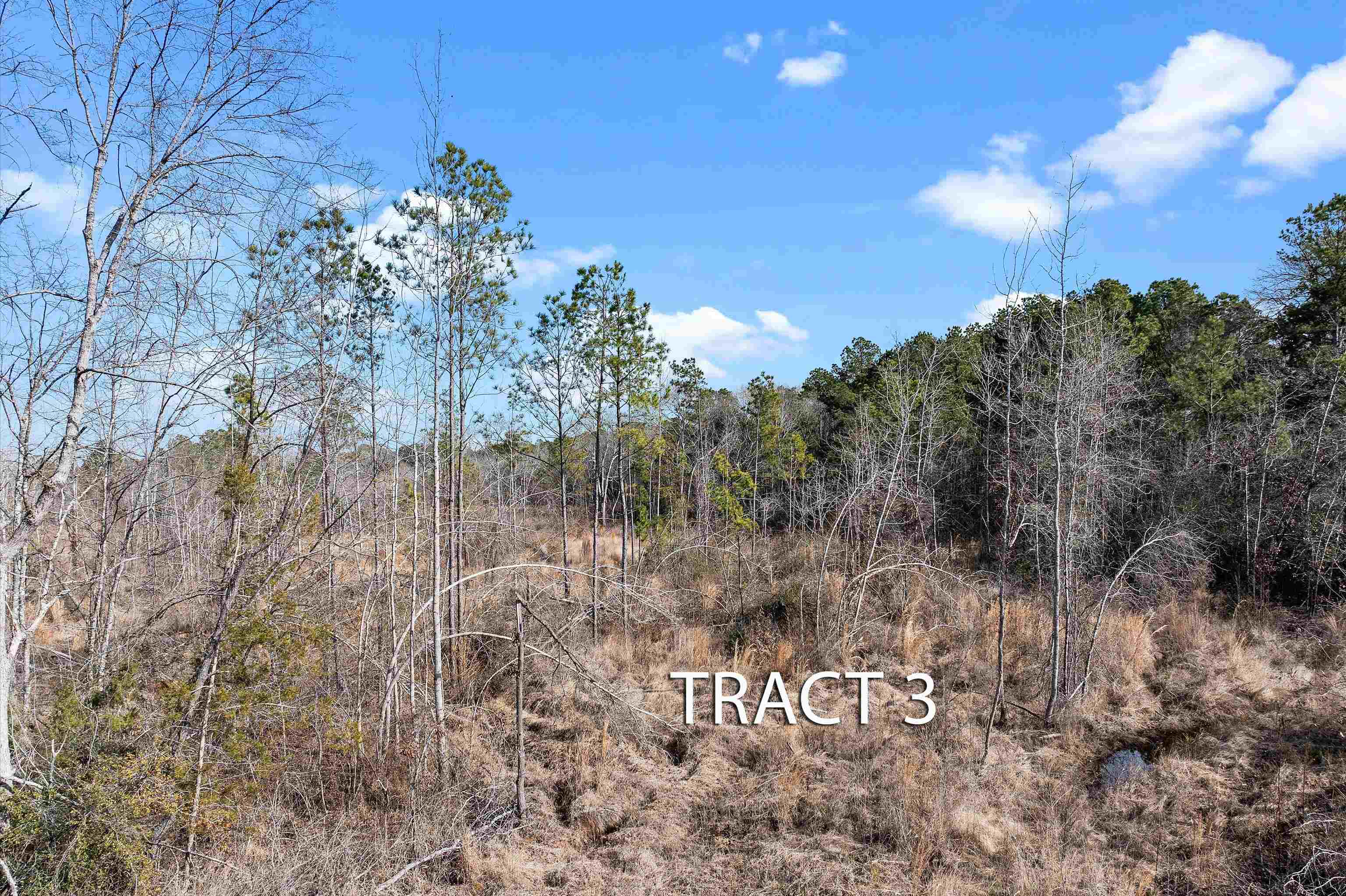 Tbd Baker Bridge Road Marshall, TX 75670 - Photo 7 of 10 Gallery Image 7