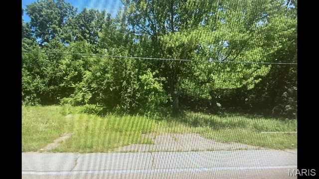 $9,500 | 365 Dorsey Road, Gillespie, IL 62033