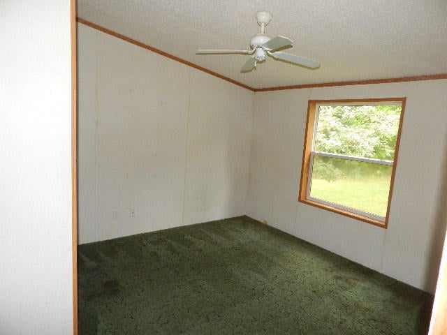 79 East Ostrander Road Afton, MI 49705 - Photo 9 of 14 Gallery Image 9