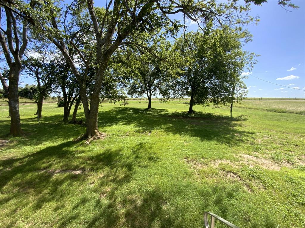 929 Neighbors Corner Road Mart, TX 76664 - Photo 3 of 28 a view of a trees in a yard