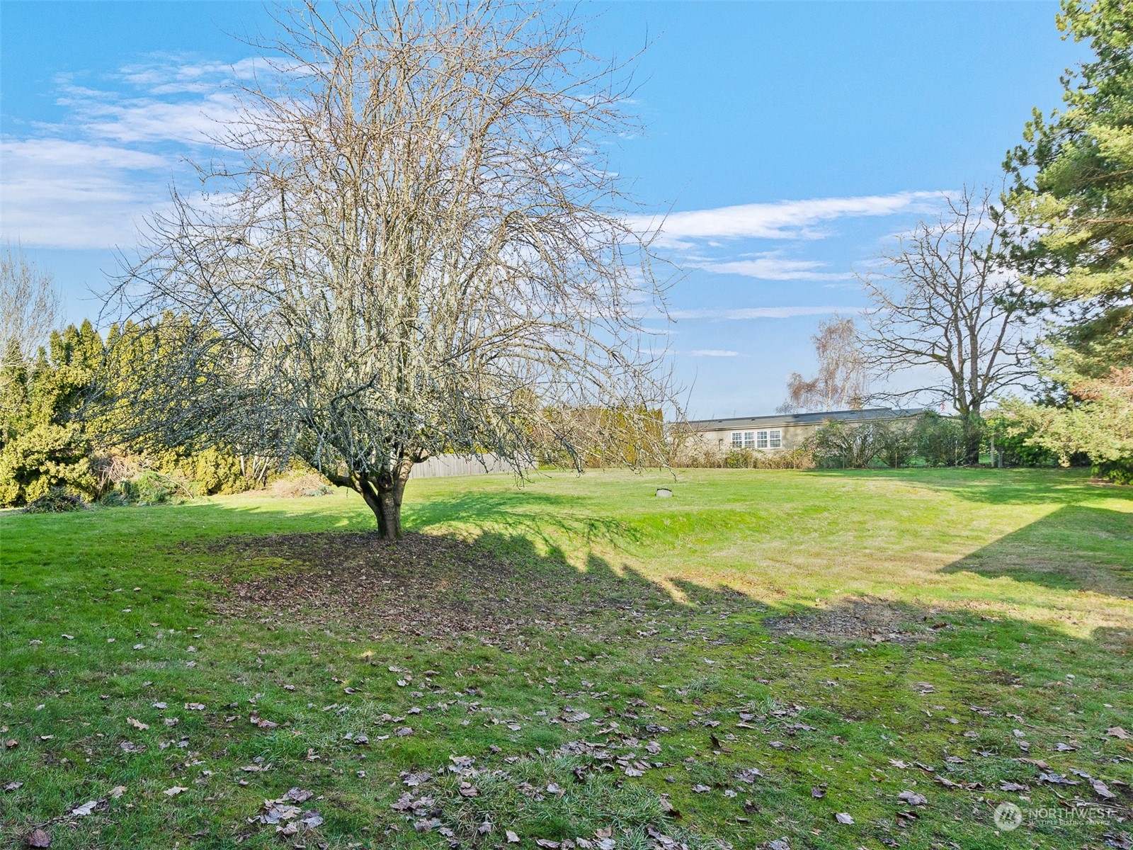 5814 Northwest 169th Street Ridgefield, WA 98642 - Photo 32 of 40 a view of field with tree in the background