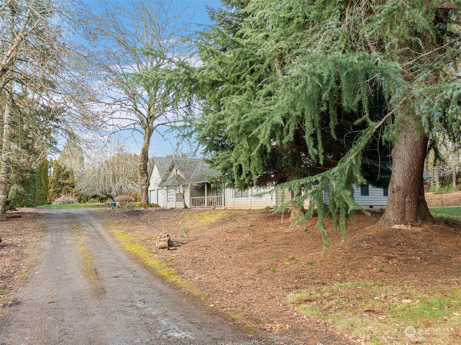 5814 Northwest 169th Street Ridgefield, WA 98642 - Photo 4 of 40 a view of a yard with plants and a large tree
