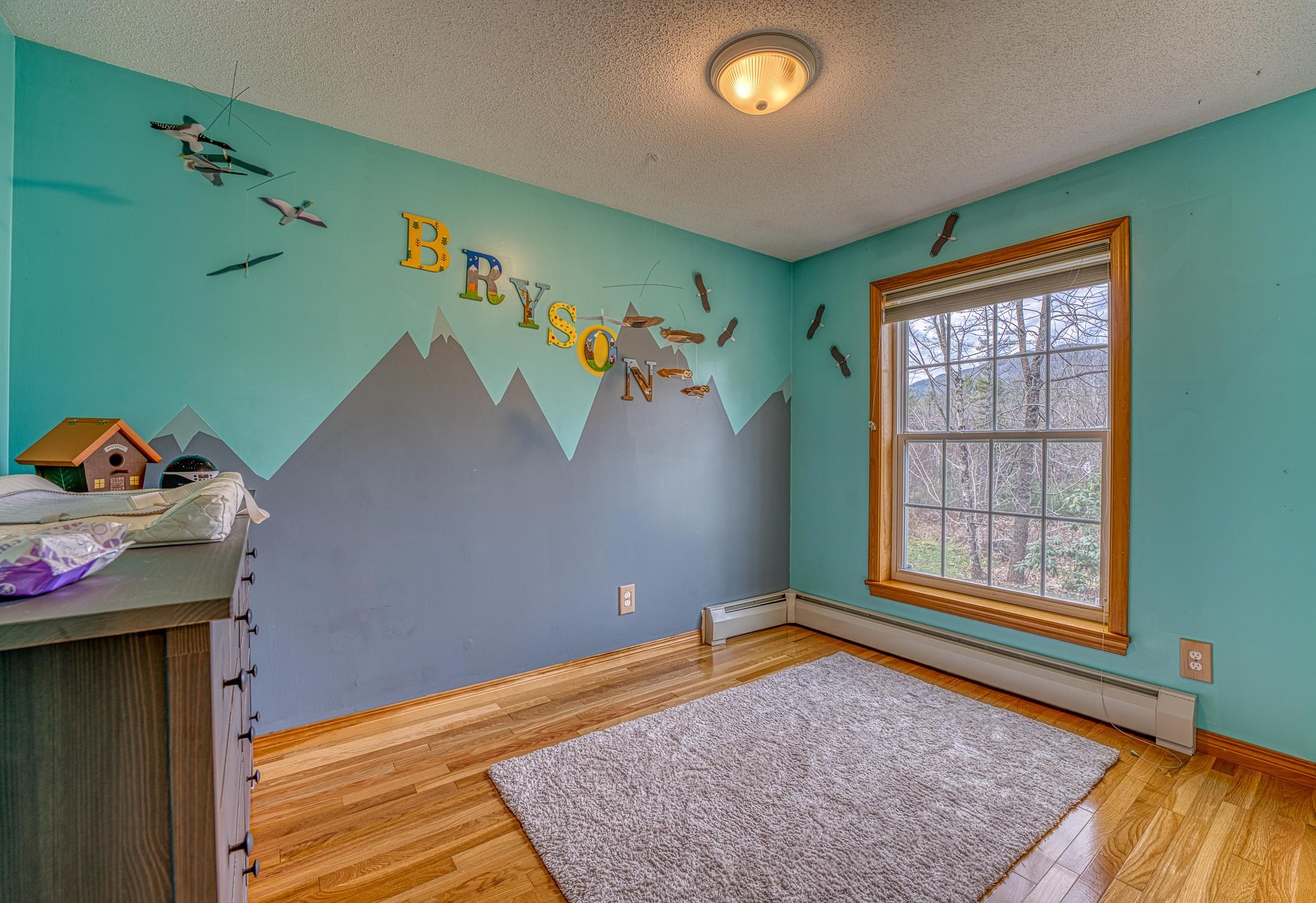 112 Bell Road Plymouth, NH 03264 - Photo 14 of 24