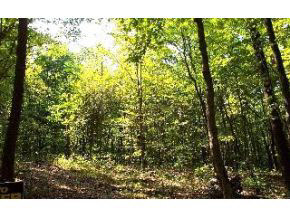 7100-blk South Lodge Road Bloomington, IN 47403 - Photo 1 of 1 Gallery Image 1