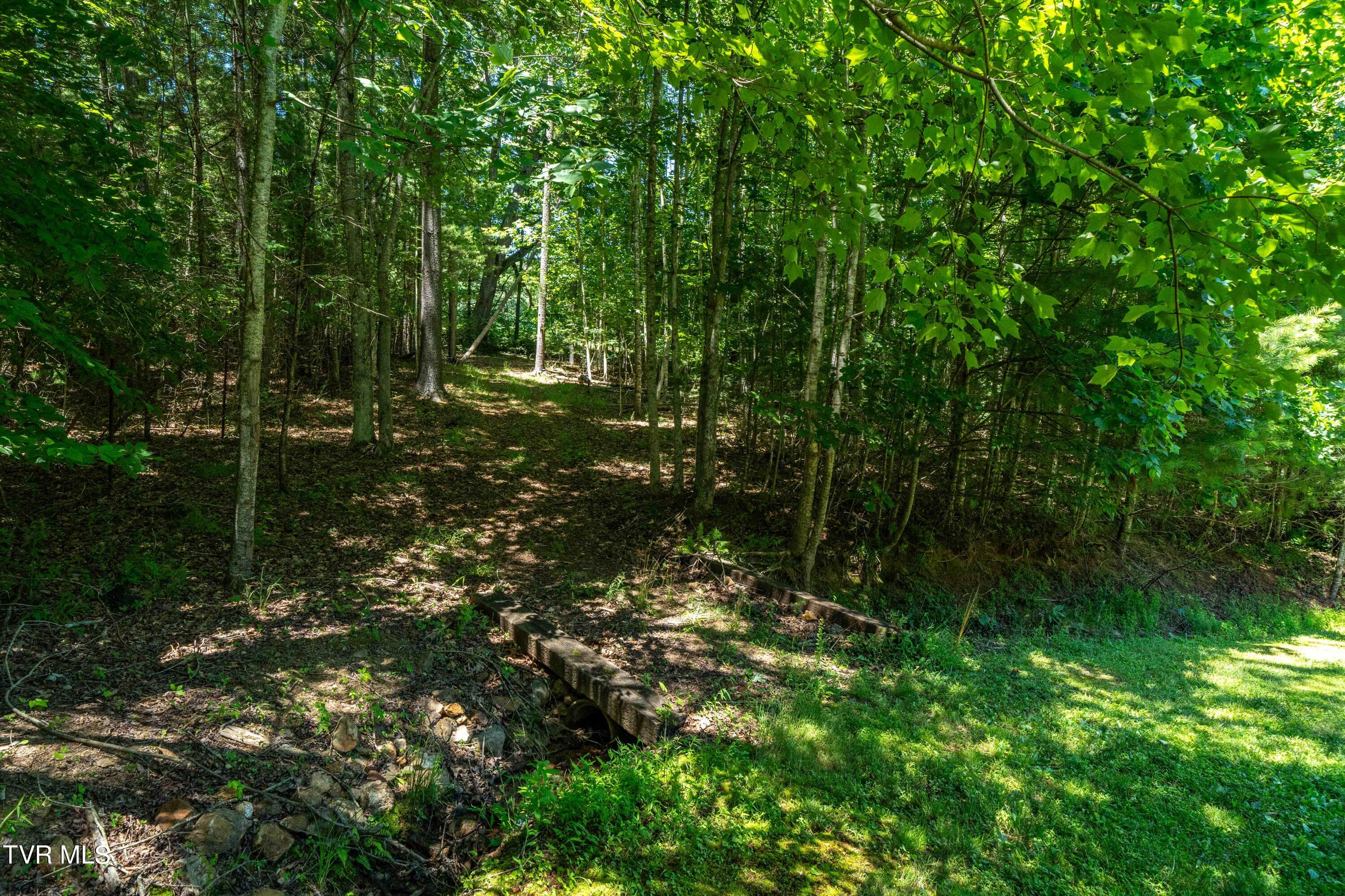 542 Rainbow Road Mountain City, TN 37683 - Photo 32 of 87 542 Rainbow Road (48 of 88)