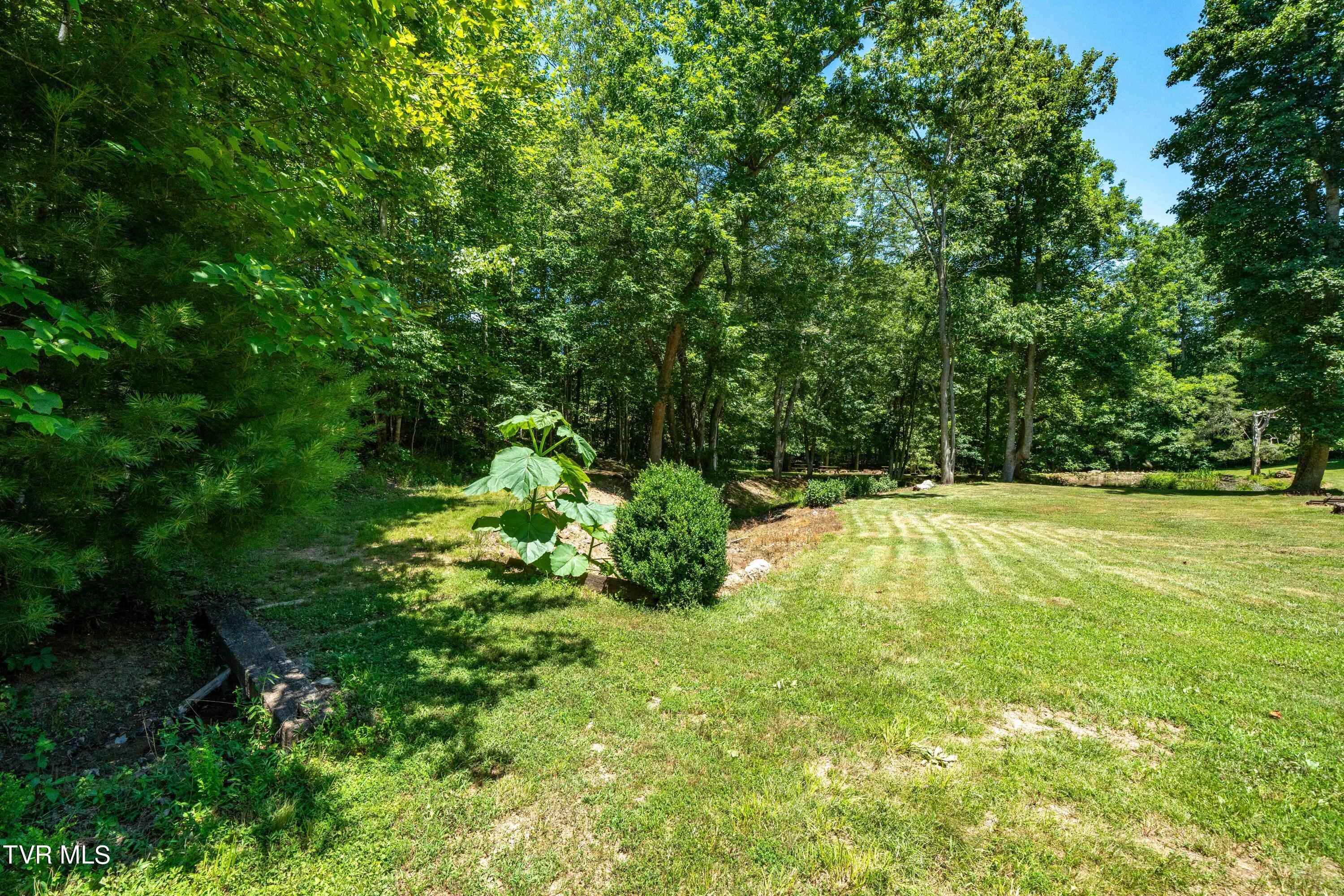 542 Rainbow Road Mountain City, TN 37683 - Photo 34 of 87 542 Rainbow Road (50 of 88)