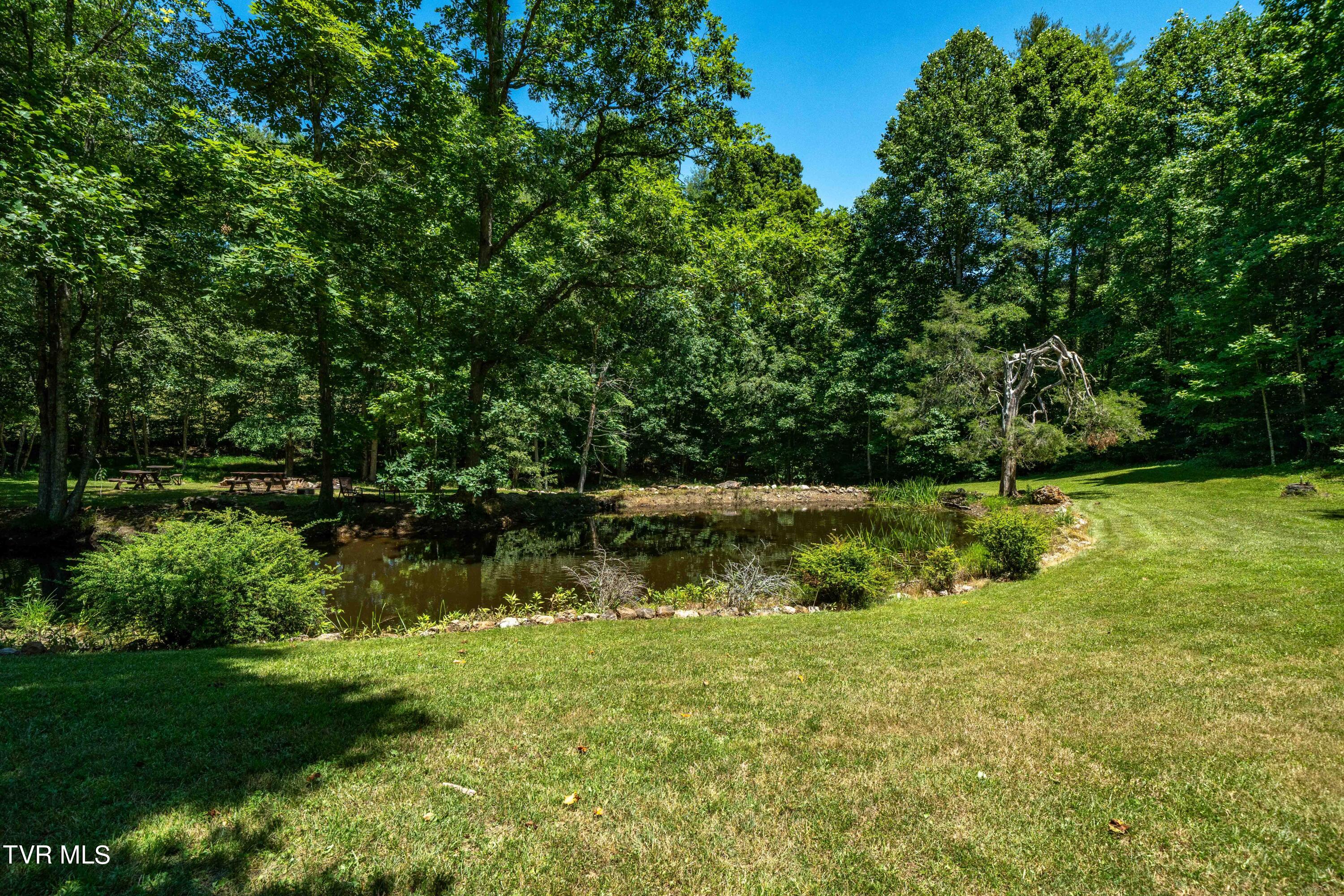 542 Rainbow Road Mountain City, TN 37683 - Photo 38 of 87 542 Rainbow Road (54 of 88)