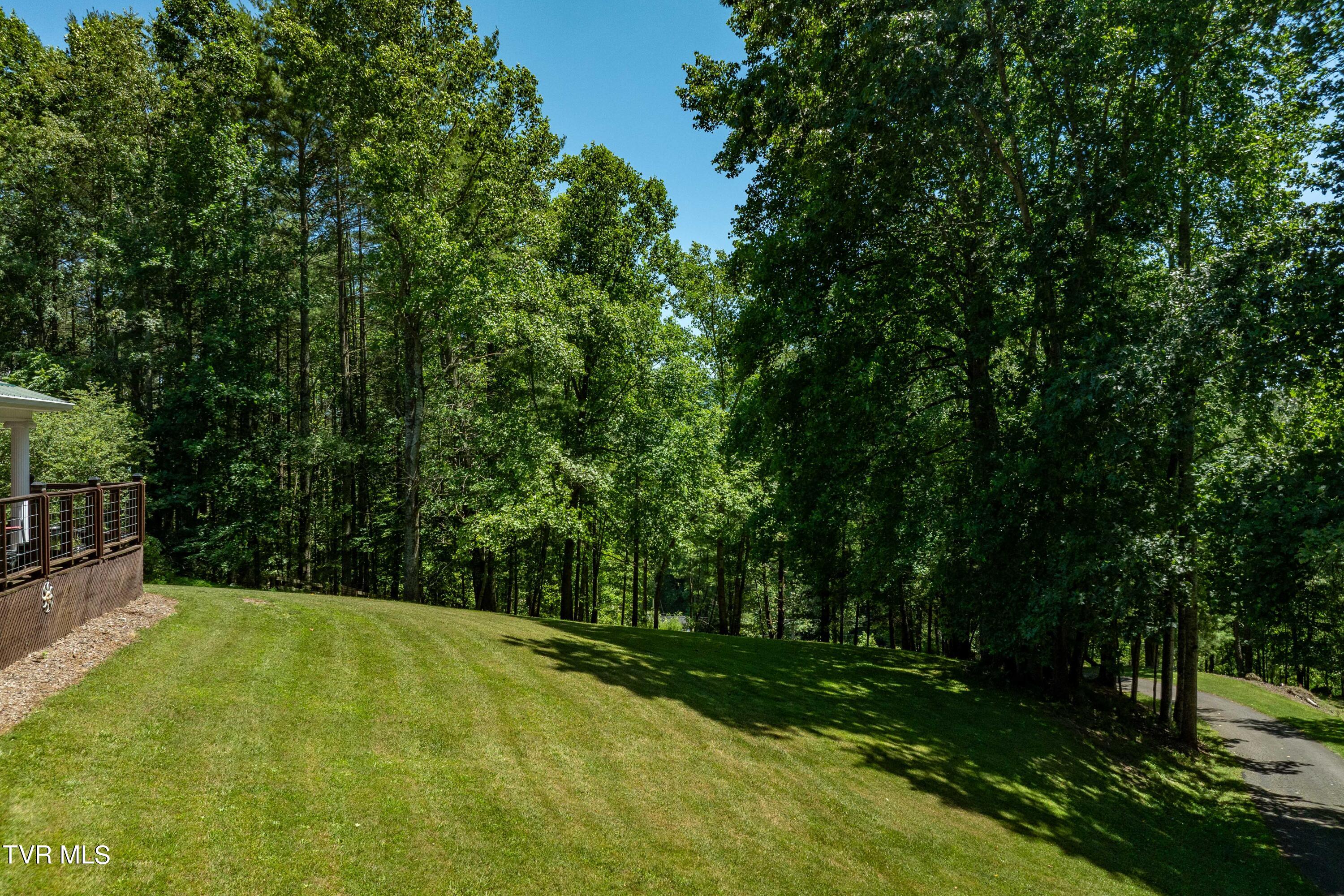 542 Rainbow Road Mountain City, TN 37683 - Photo 6 of 87 542 Rainbow Road (21 of 88)