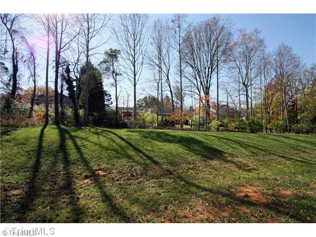 3520 Lamplight Way High Point, NC 27265 - Photo 16 of 16 Yard/Garden.