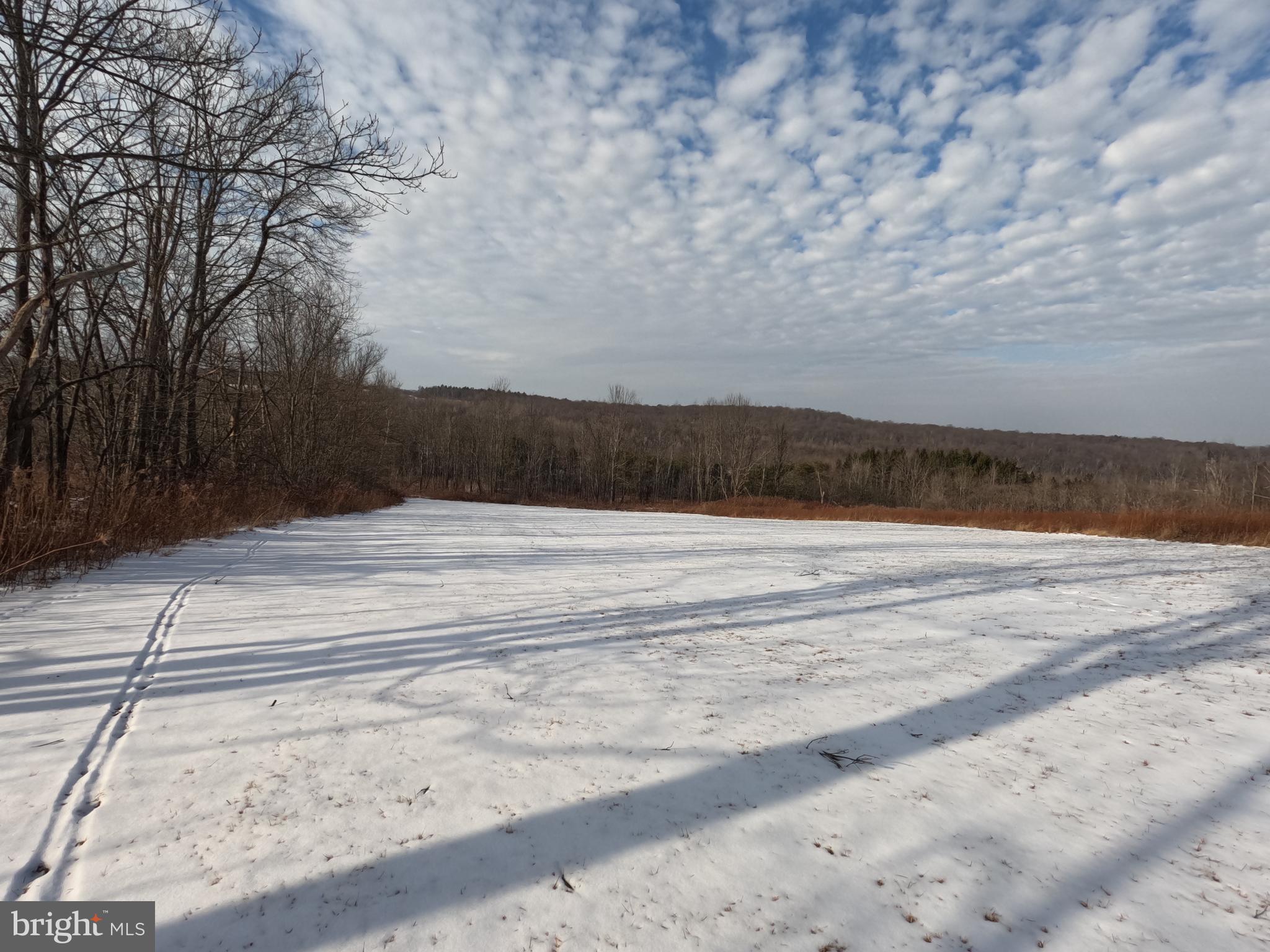 0 South Sterling Road Sterling, PA 18463 - Photo 13 of 20