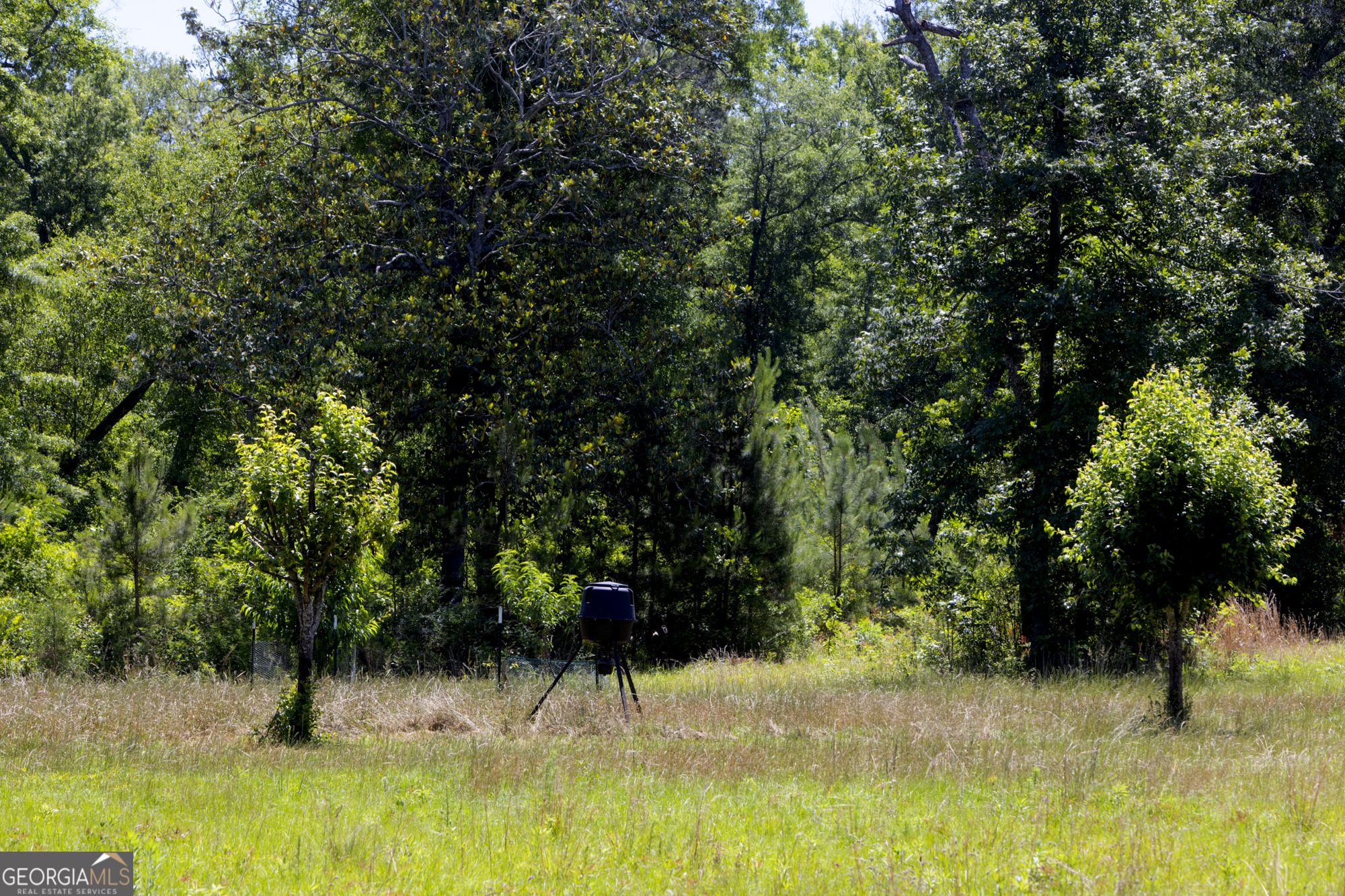 246 Melton Mill Road Dawson, GA 39842 - Photo 54 of 78